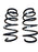 Vauxhall Meriva B Zafira B Front Springs Ident CP New OE Part 93185138