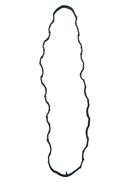 47204117