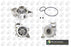 Vauxhall Astra Insignia Zafira 2.0 2.2 Petrol Water Pump New OE Part 12630084 CP3446