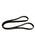 Vauxhall Astra Corsa Meriva 1.7 Diesel Drive Belt New OE Part 55566900