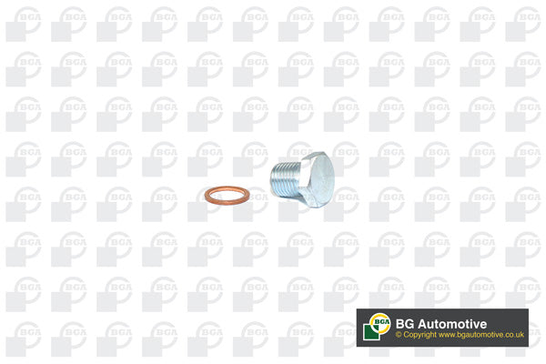 Vauxhall Oil Drain Sump Plug New BGA Part 55184773 PK2203