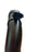Vauxhall Astra J 1.4 Turbo Automatic Intercooler Hose Passenger Side New OE Part 39202871