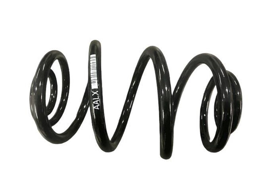 Rear Springs — VAUXCENTRE